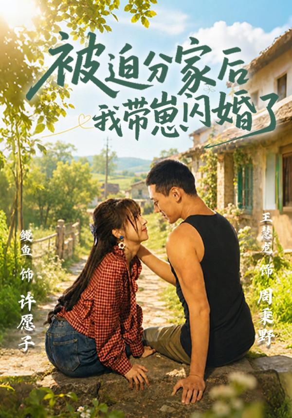 短剧被迫分家后我带崽闪婚了海报