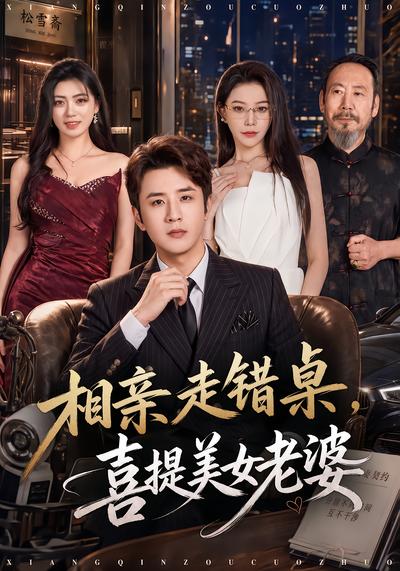 相亲走错桌，喜提美女老婆 - 在线观看