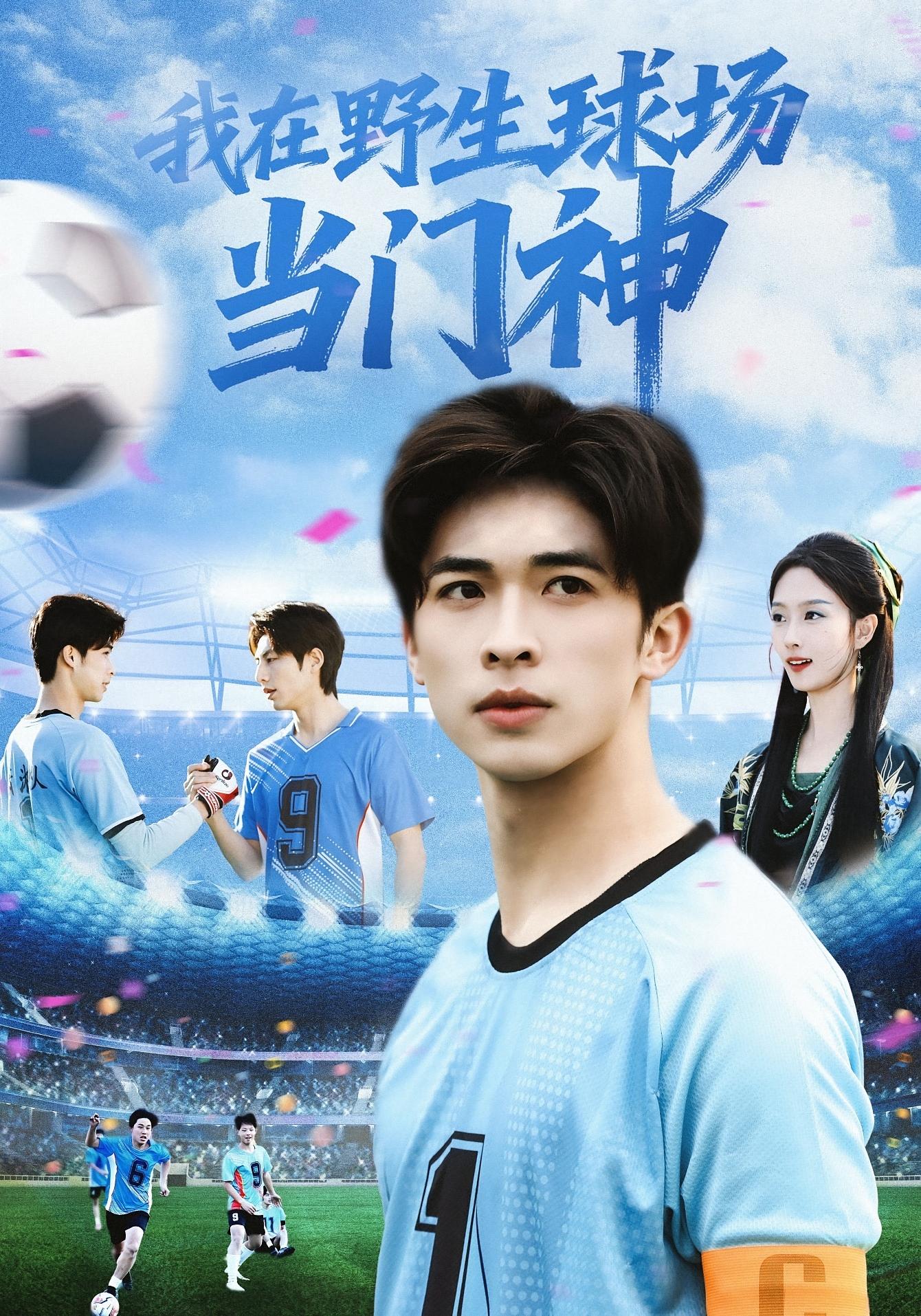 我在野生球场当门神