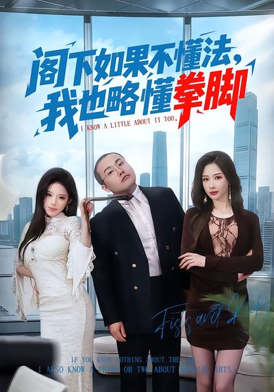 阁下如果不懂法，我也略懂拳脚 - 在线观看