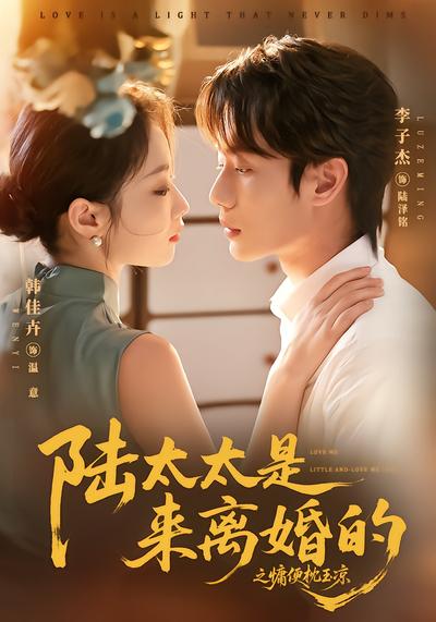 陆太太是来离婚的之慵便枕玉凉 - 在线观看