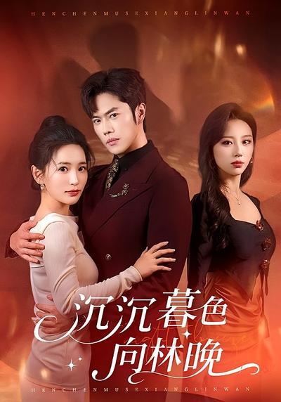 沉沉暮色向林晚