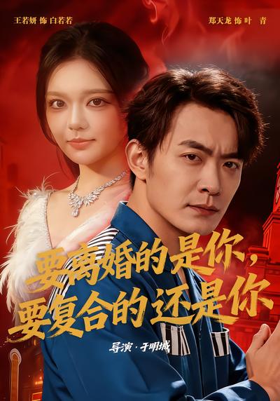 要离婚的是你，要复合的还是你 - 在线观看