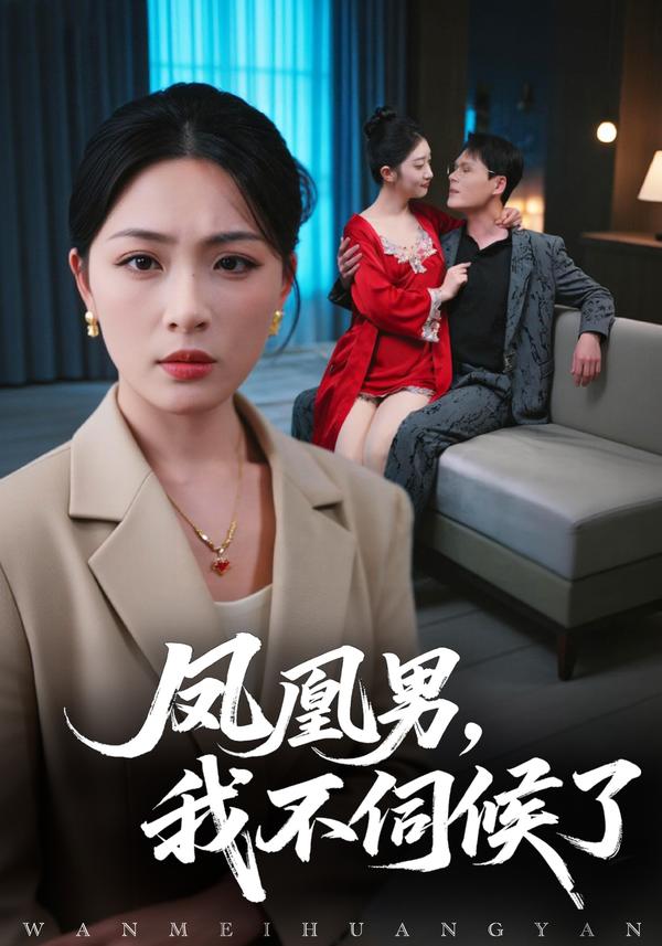 短剧凤凰男，我不伺候了海报