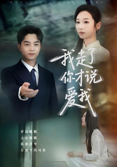 我走了你才说爱我