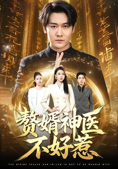赘婿神医不好惹 - 在线观看