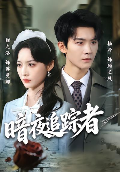 暗夜追踪者 - 在线观看