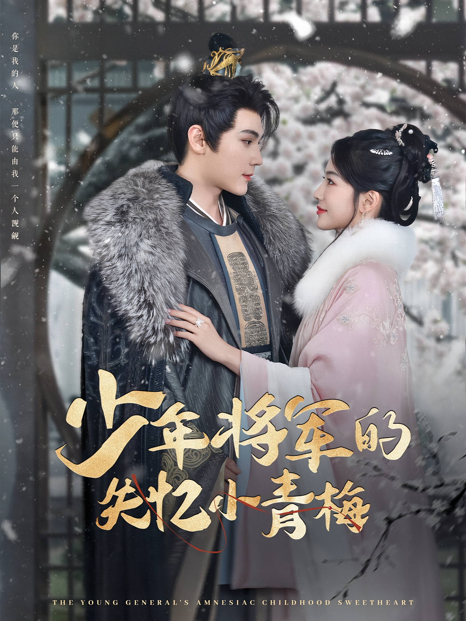 少年将军的失忆小青梅