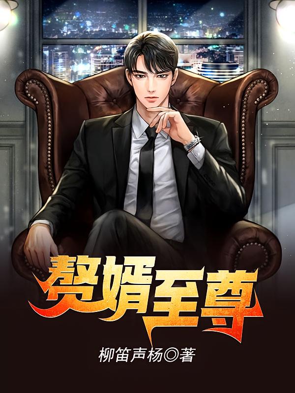 赘婿至尊