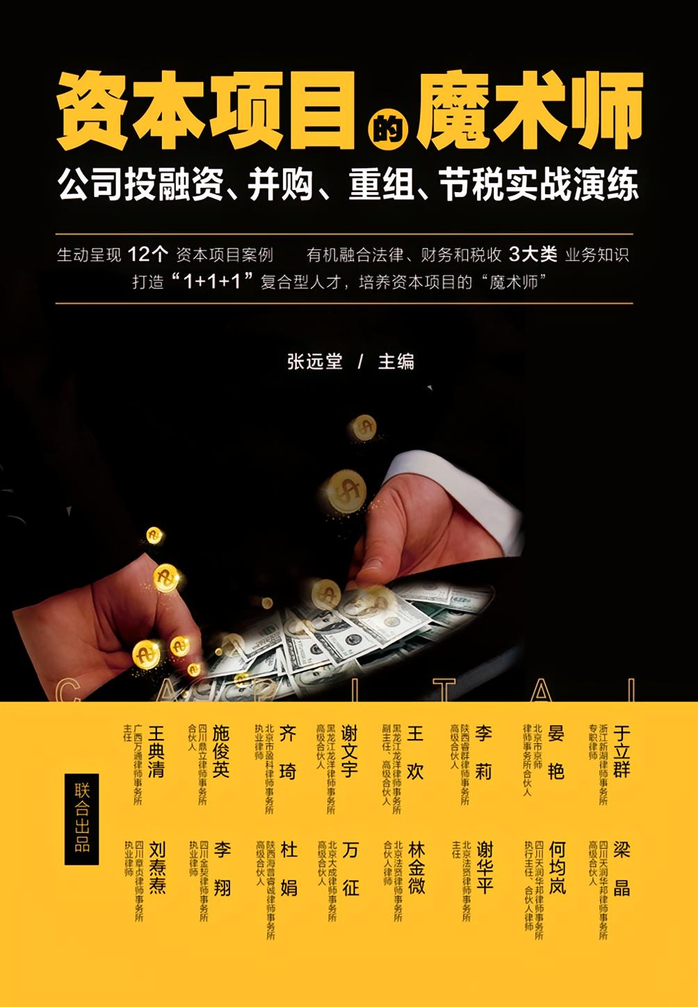 资本项目的魔术师：公司投融资、并购、重组、节税实战演练