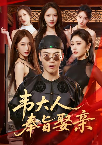 韦大人奉旨娶亲 - 在线观看