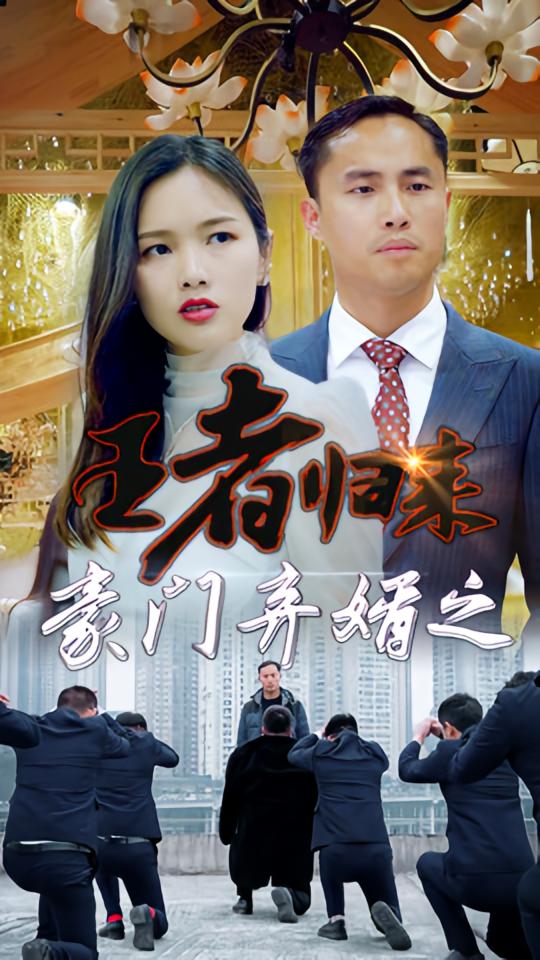 豪门弃婿之王者归来