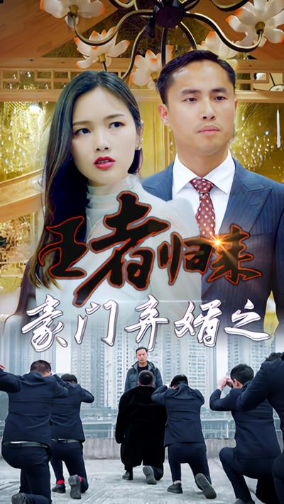 豪门弃婿之王者归来