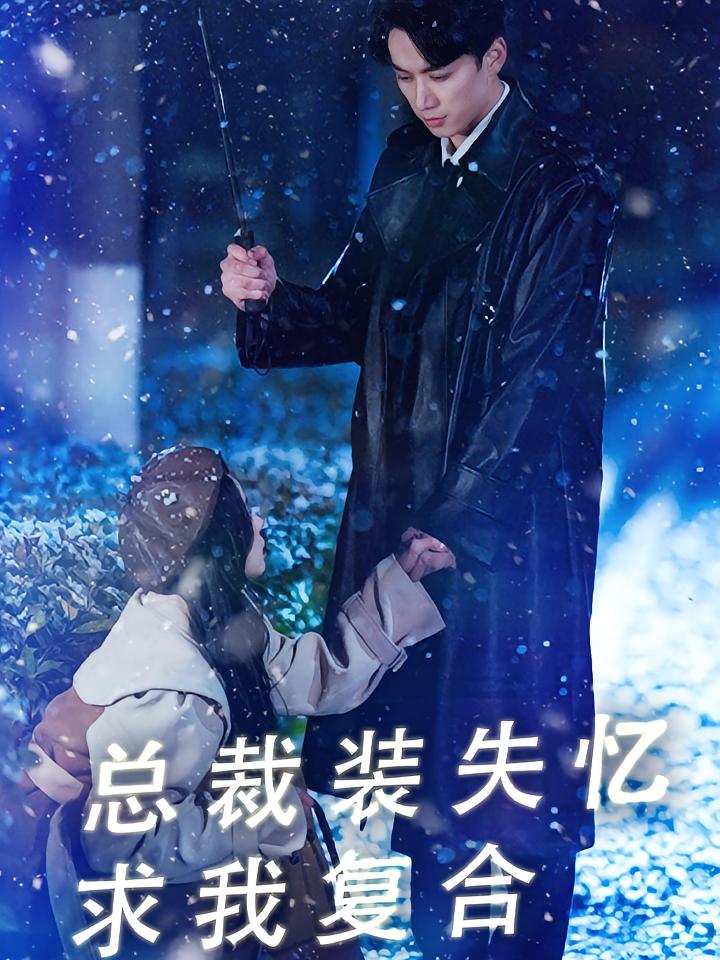 总裁装失忆求我复合