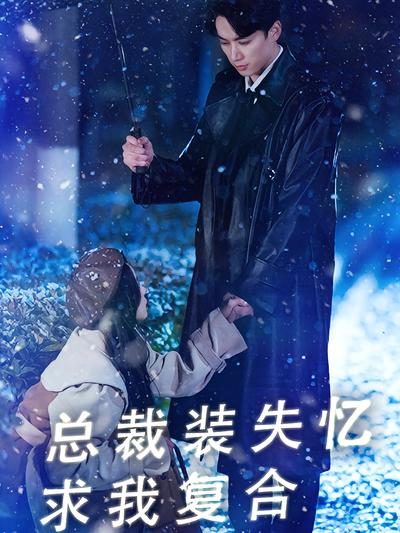 总裁装失忆求我复合