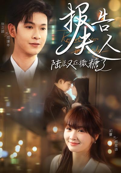 报告夫人陆总又在撒糖了