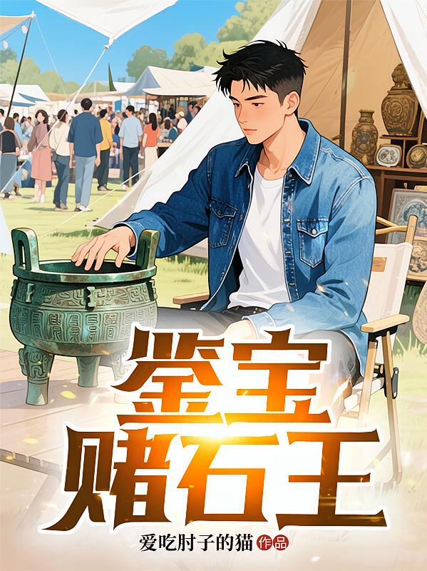 鉴宝赌石王