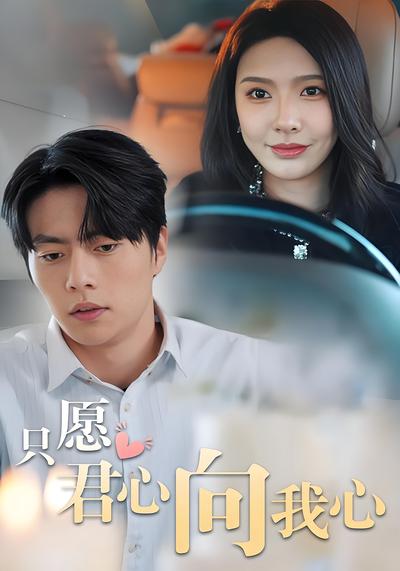 只愿君心向我心