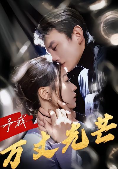 予我万丈光芒封面