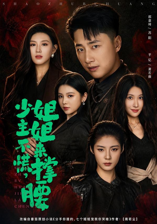 短剧少主不慌，姐姐来撑腰海报