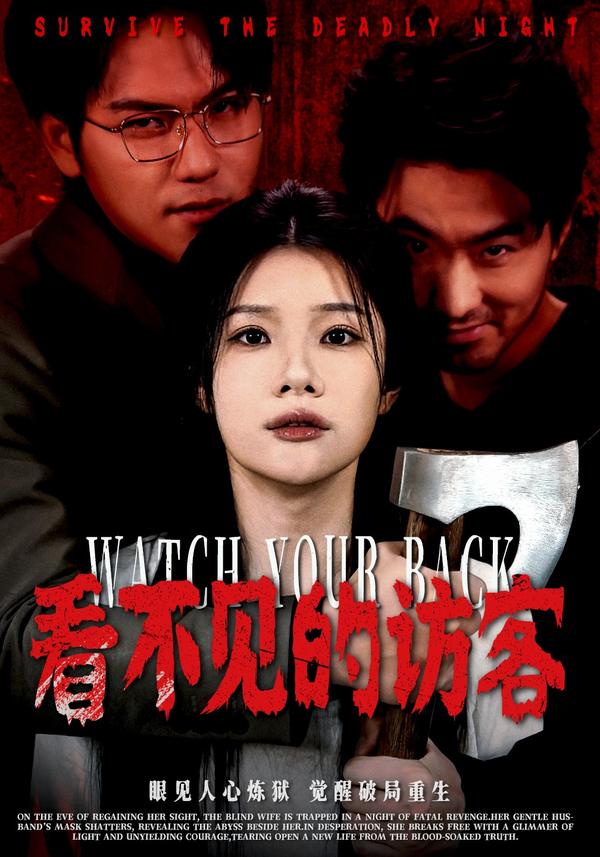 短剧看不见的访客海报