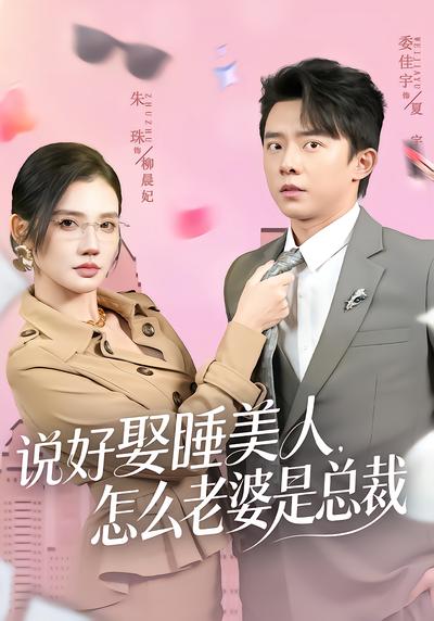 说好娶睡美人，怎么老婆是总裁 - 在线观看