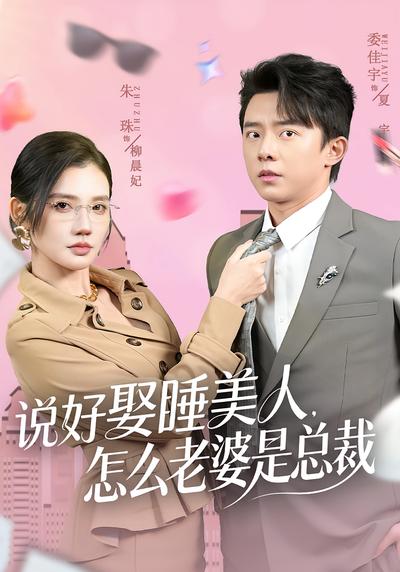 说好娶睡美人，怎么老婆是总裁