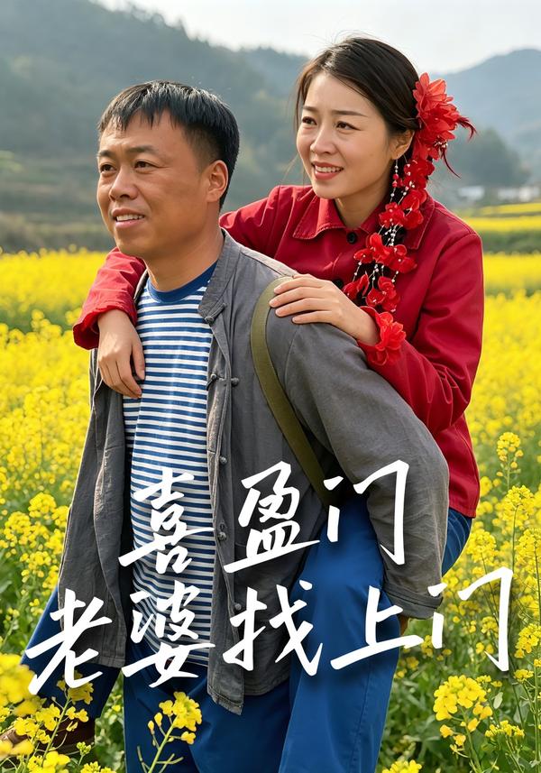 短剧喜盈门，老婆找上门海报