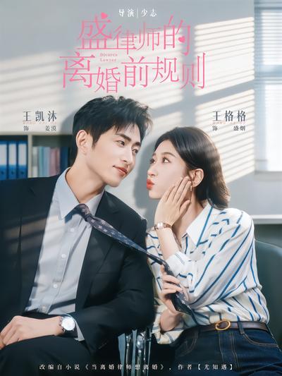 盛律师的离婚前规则封面