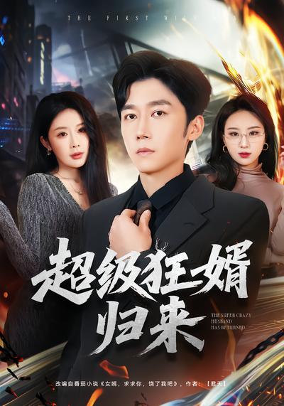 超级狂婿归来 - 在线观看