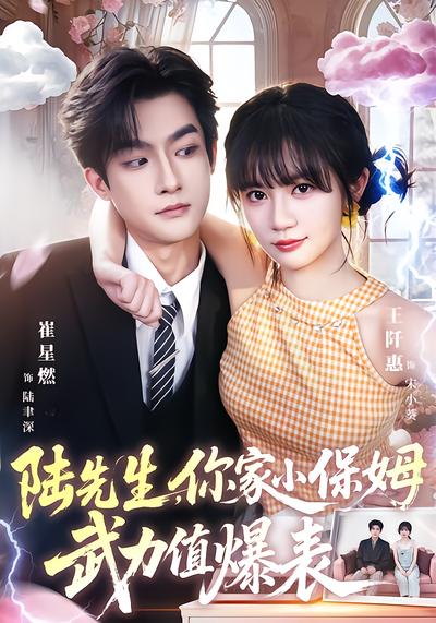 陆先生，你家小保姆武力值爆表 - 在线观看