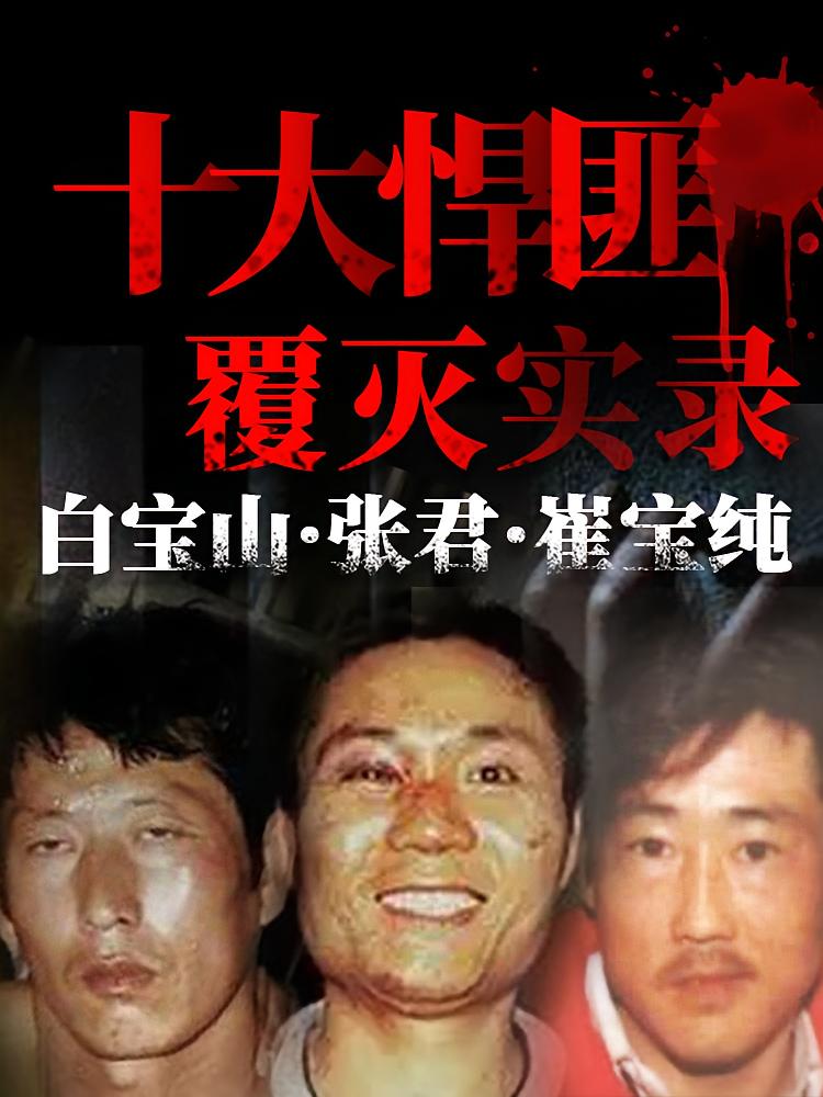 十大悍匪覆灭实录：白宝山张君崔宝纯