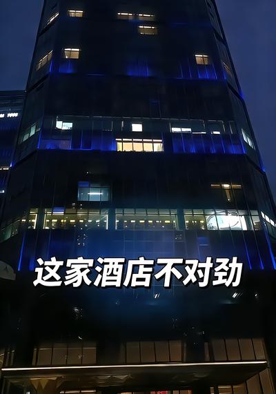 这家酒店不对劲 - 在线观看