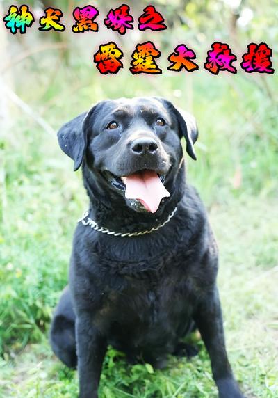 神犬黑妹之雷霆大救援