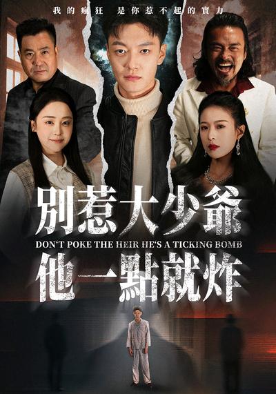 别惹大少爷他一点就炸