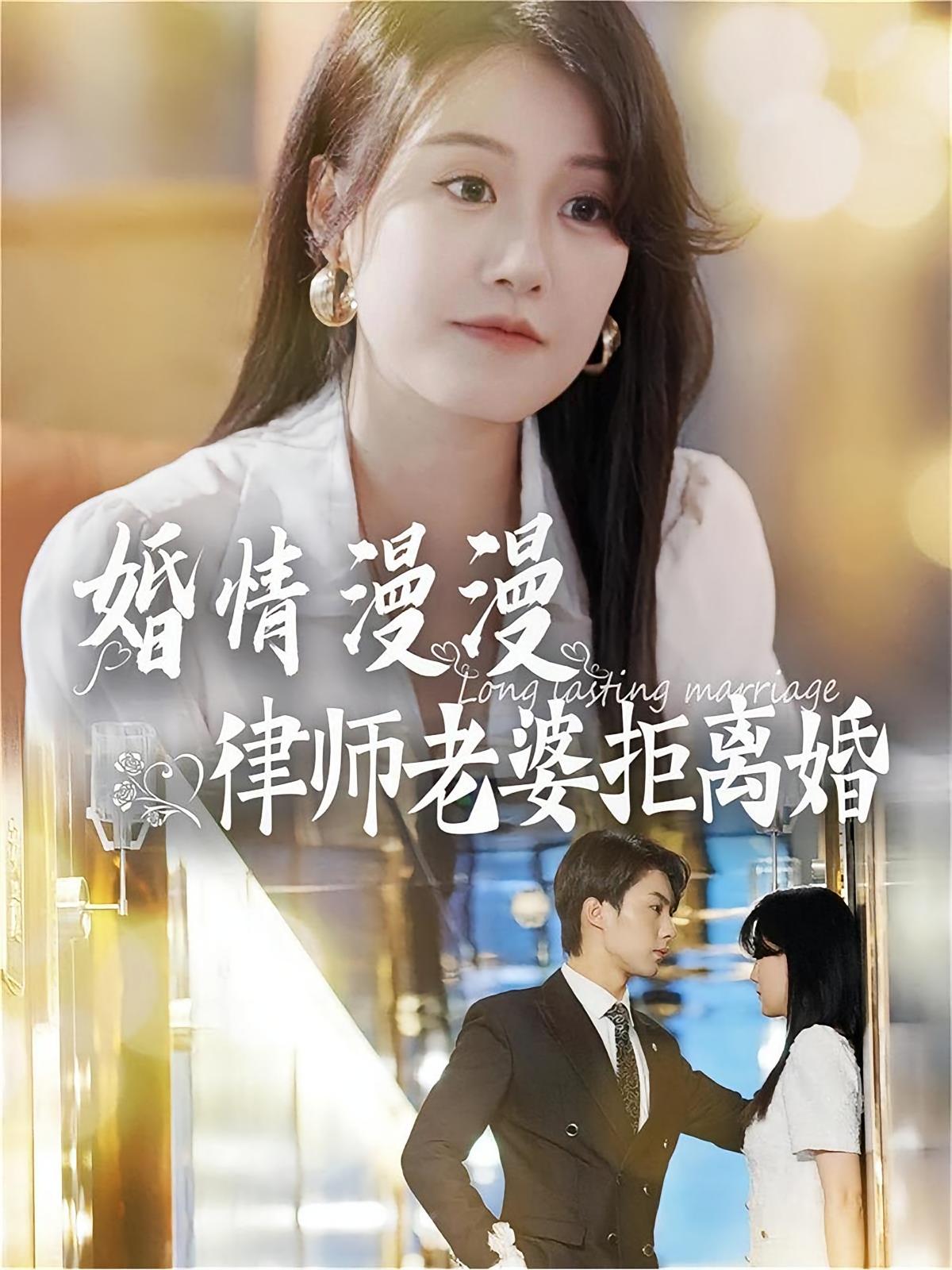 婚情漫漫：律师老婆拒离婚