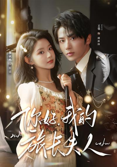 你好，我的旅长夫人