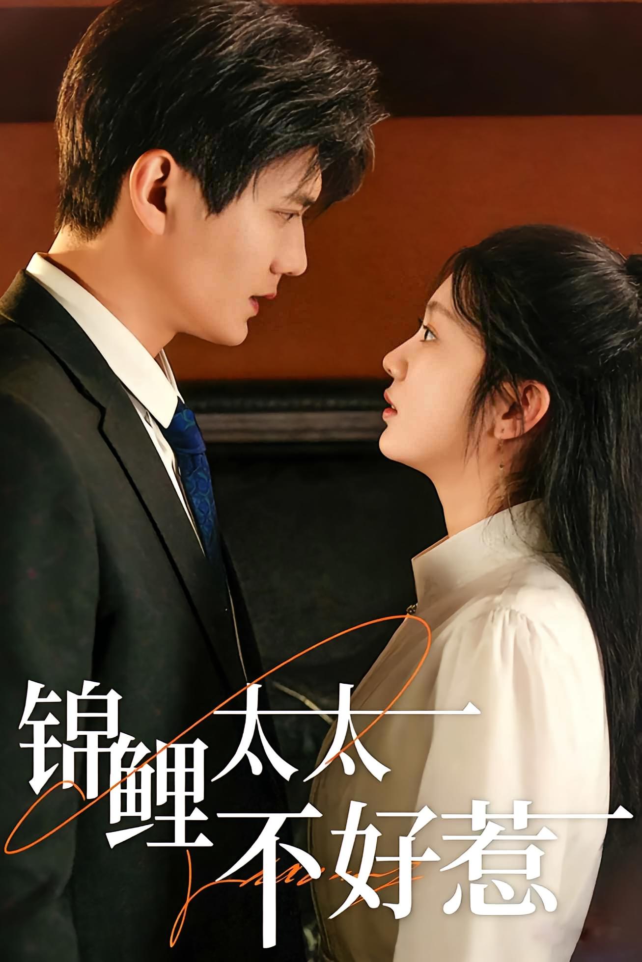 锦鲤太太不好惹