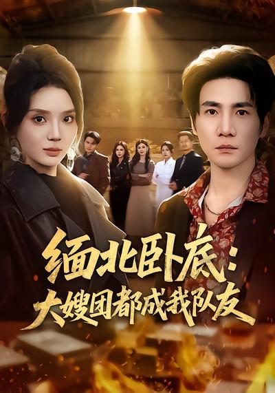 缅北卧底：大嫂团都成我队友 - 在线观看