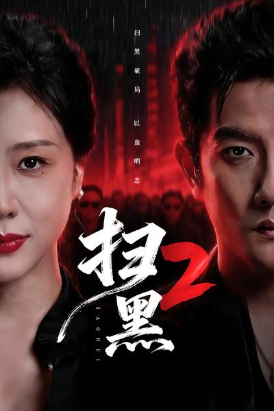 扫黑2封面