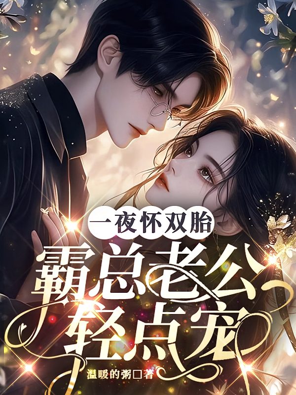 一夜怀双胎，霸总老公轻点宠