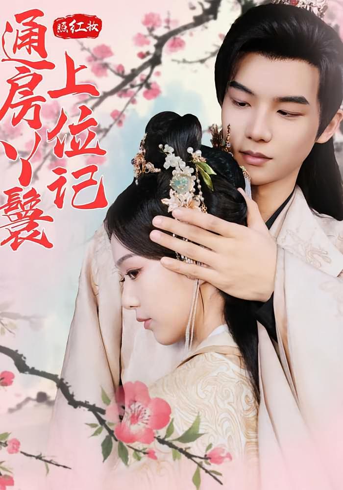 照红妆通房丫鬟上位记