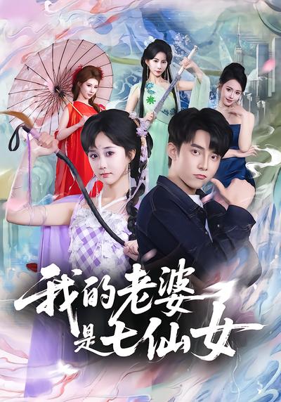 我的老婆是七仙女 - 在线观看