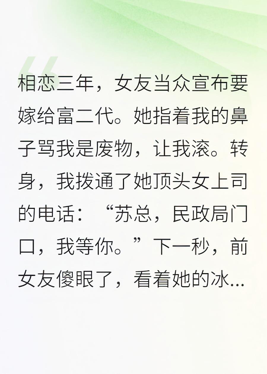分手当天，我闪婚了前女友的绝美总裁