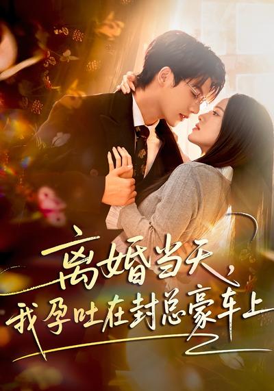 离婚当天，我孕吐在封总豪车上