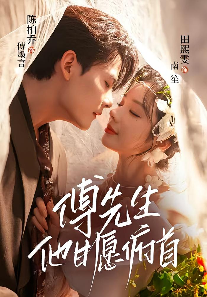 傅先生他甘愿俯首