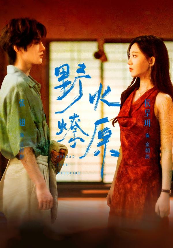 短剧野火燎原海报