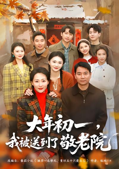 大年初一，我被送到了敬老院 - 在线观看