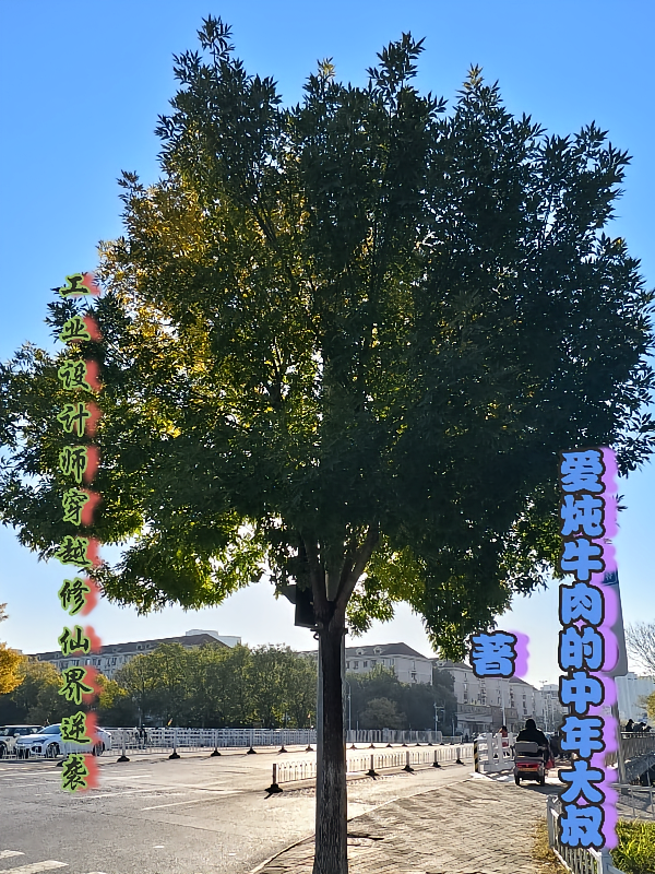 工业设计师穿越修仙界逆袭