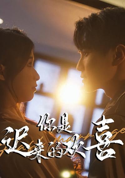 你是迟来的欢喜